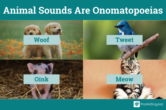 Animals sounds are onomatopoeias