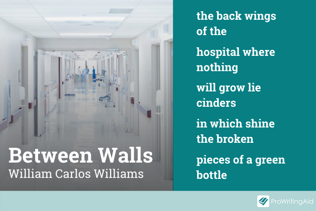 Between Walls by William Carlos Williams