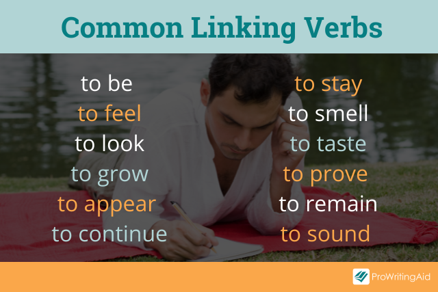 Common linking verbs
