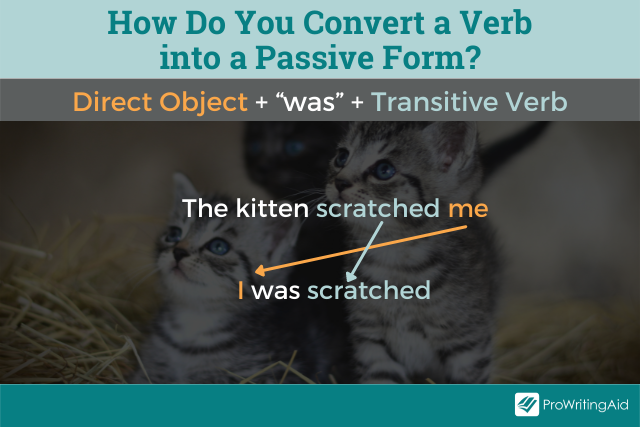 Convert a verb into the passive form