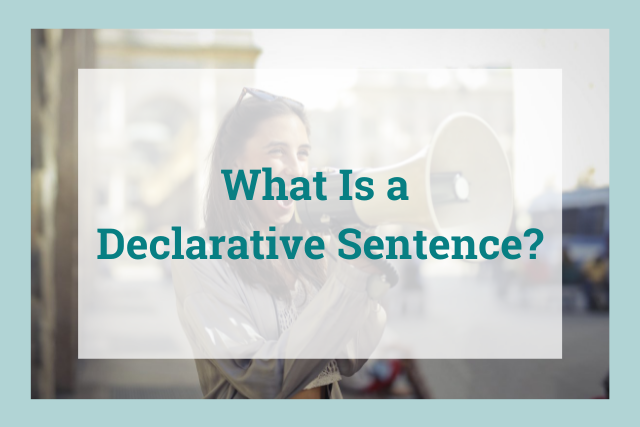 declarative sentence examples with pictures