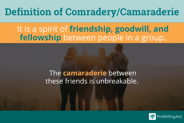 comradery-or-camaraderie-which-is-correct-the-grammar-guide