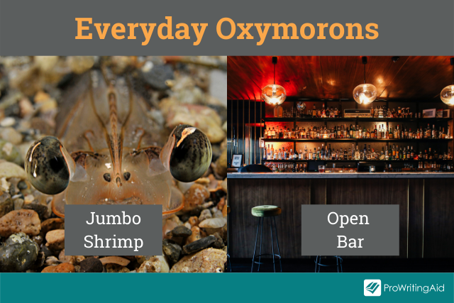 jumbo shrimp literary term