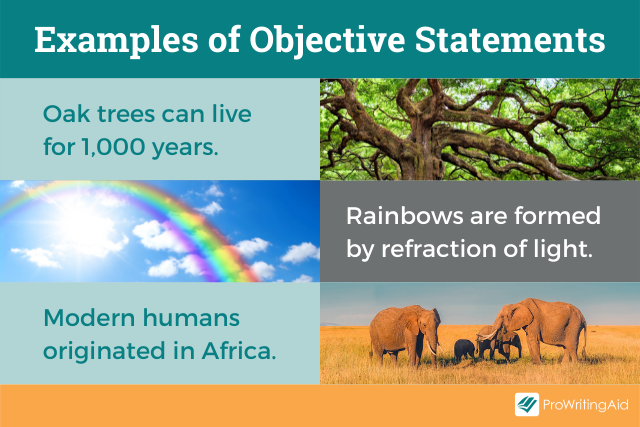 Examples of objective statements