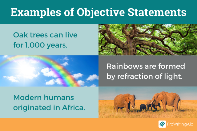 subjective-vs-objective-what-s-the-difference-2022