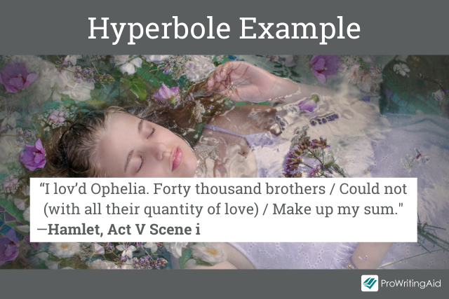 Examples Of Hyperbole From Literature