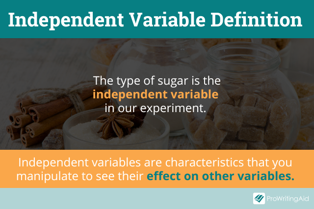 Independent variable definition