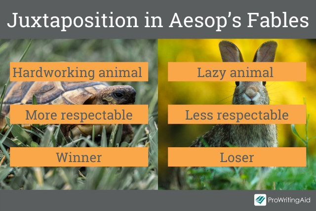 Juxtaposition in Aespop's Fables
