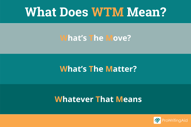 What are the various meanings of wtm and when can this expression be used?