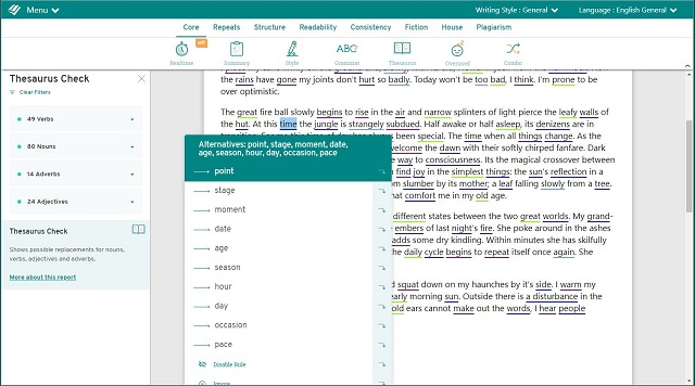 thesaurus essay checker