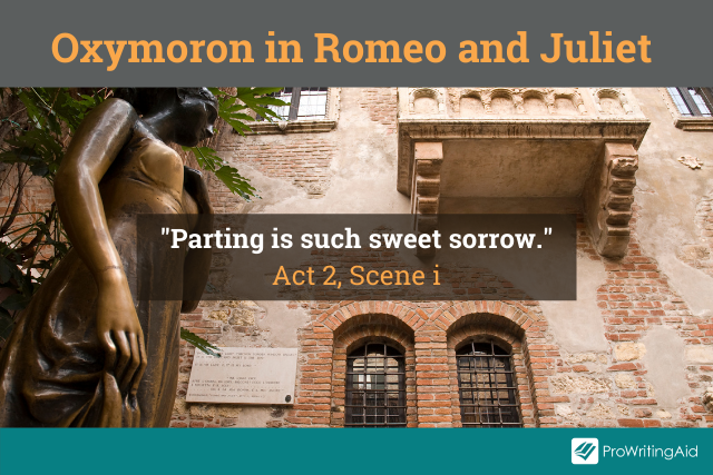 Oxymoron in Romeo and Juliet