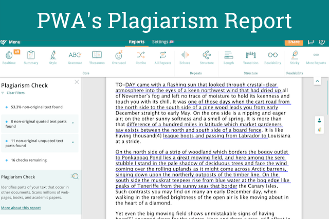 ProWritingAid's Plagiarism Report