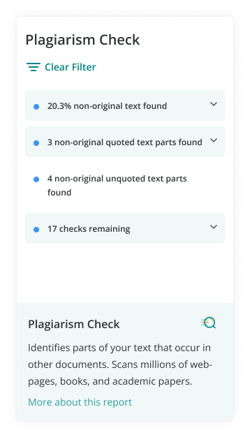 ProWritingAid's Plagiarism Report