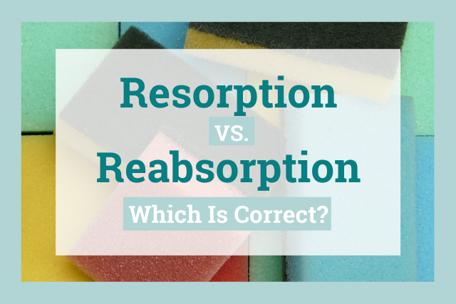 Resorption Vs Reabsorption What s The Difference 