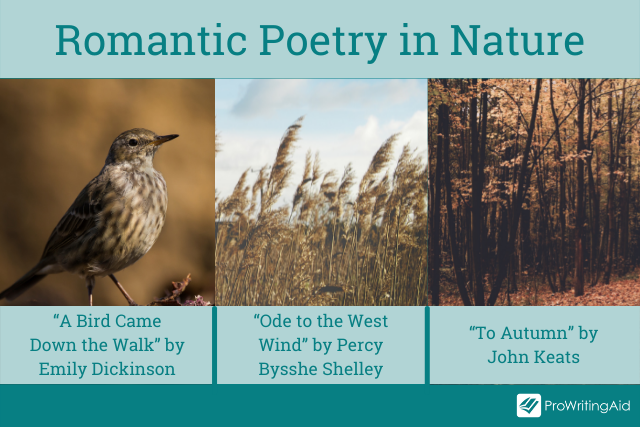 Romantic poetry in nature