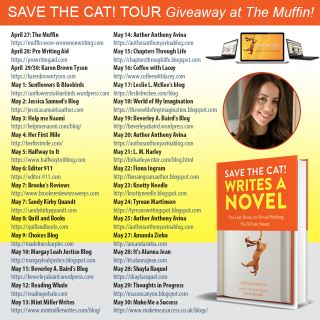 save the cat book