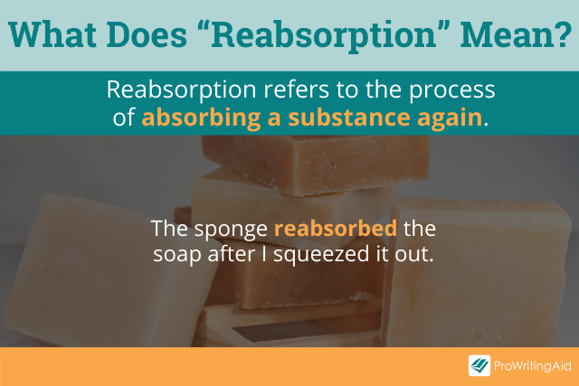 The definition of reabsorption