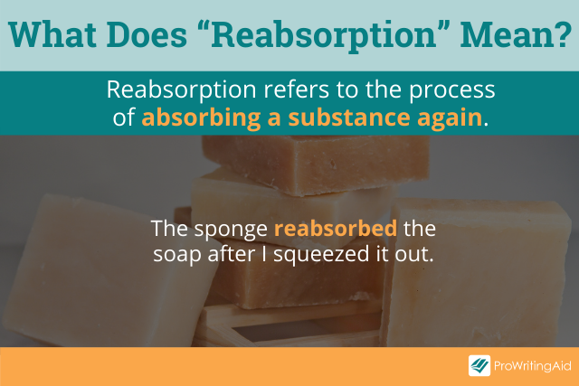 resorption-vs-reabsorption-what-s-the-difference