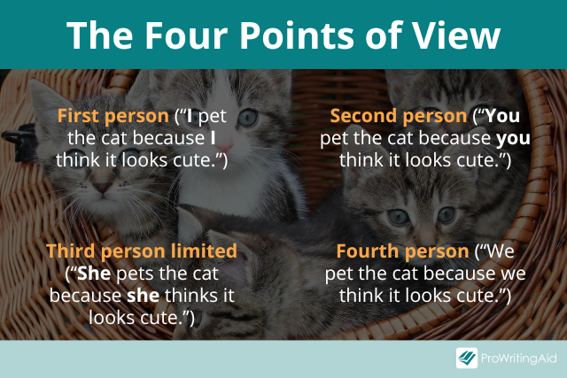 The four point of views