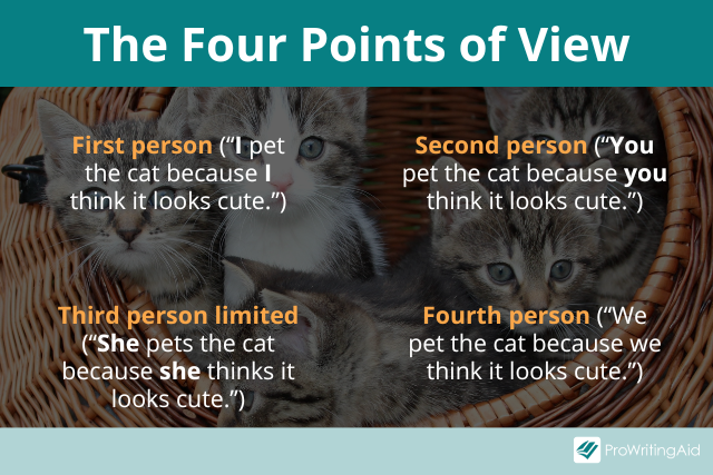 point-of-view-what-is-it-with-1st-2nd-3rd-and-4th-pov-examples