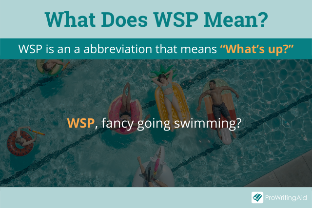 WSP meaning