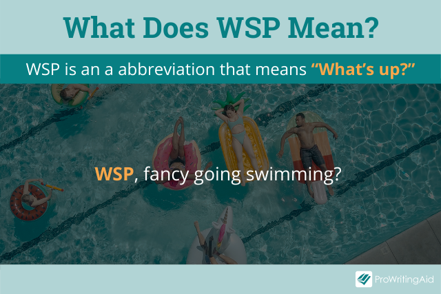 WSP Meaning: What Does It Mean and Stand For?