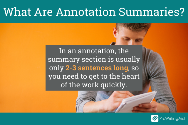 What are annotation summaries?
