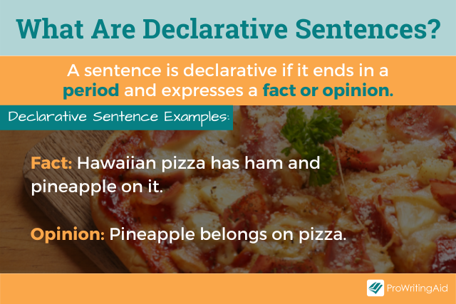 Declarative Sentence: Examples + Meaning