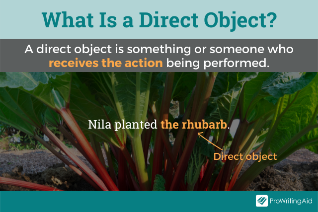 The definition of a direct object
