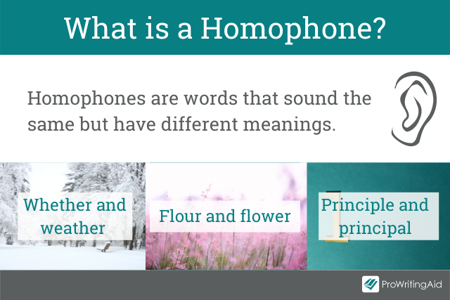 Definition of a homophone