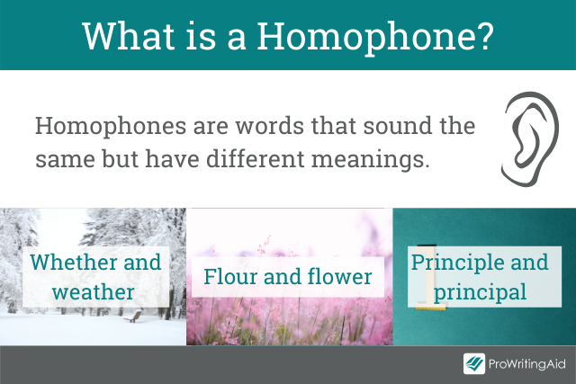 principle versus principal definition