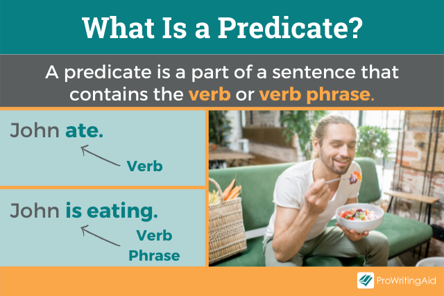 What is a predicate