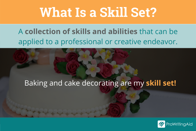 Definition of skill set