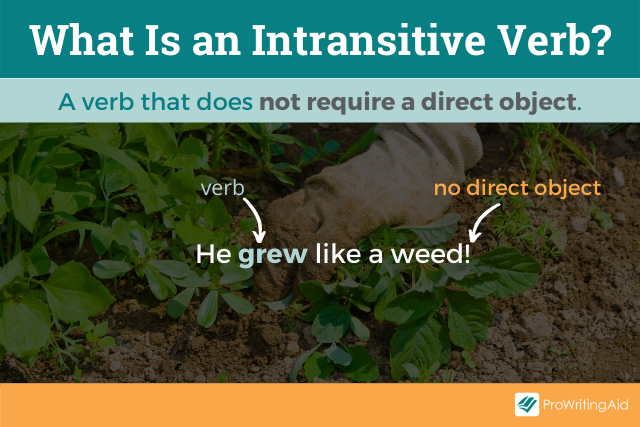 The definition of intransitive verbs