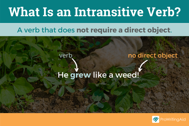 What Is Intransitive Verb Give 5 Examples