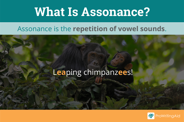 Definition of assonance