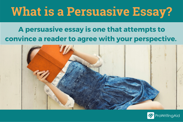 components of a persuasive essay