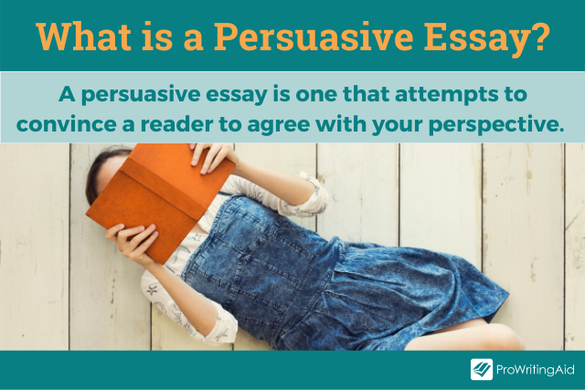 What Is Persuasive Essay Writing