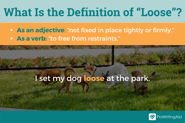 Loose Vs Lose What s The Difference The Grammar Guide