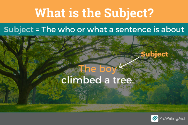 What is the subject of a sentence?