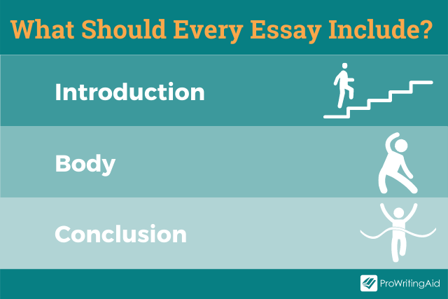 What should every essay include?