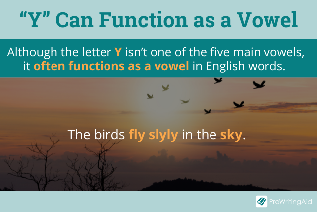 Y can function as a vowel