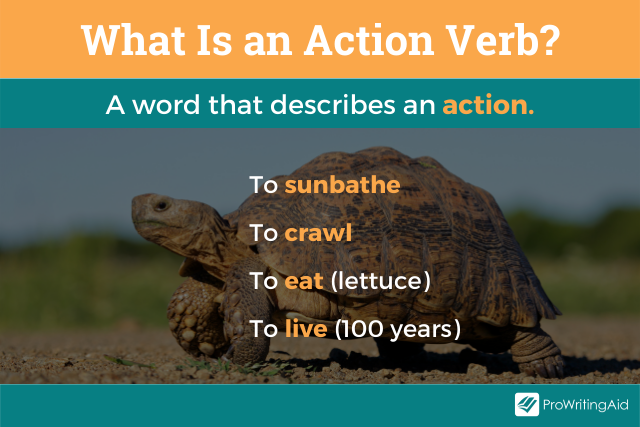 Image showing what is an action verb