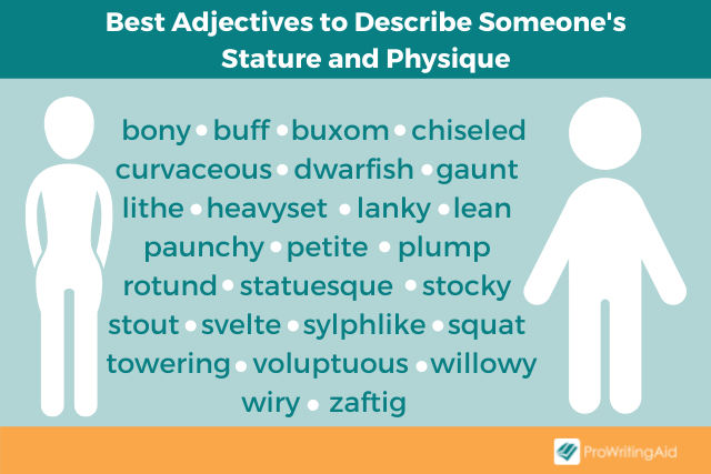 Adjectives to describe stature and physique