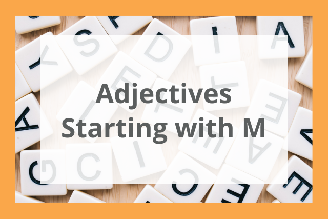 500 Adjectives Starting With M