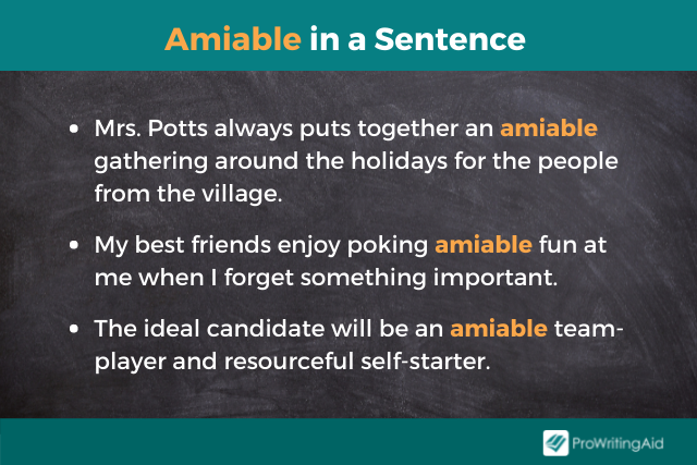 Amiable Meaning In English Sentence