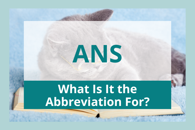 what abbreviations mean, what abbreviations mean