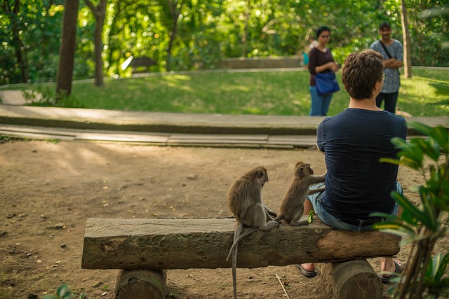a monkey stealing from a man sat on a park bench