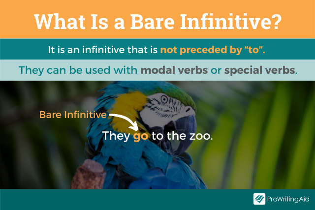 What is a bare infinitive?