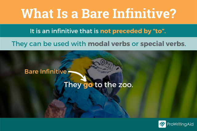 What is the difference between the infinitive and the bare infinitive? -   Blog